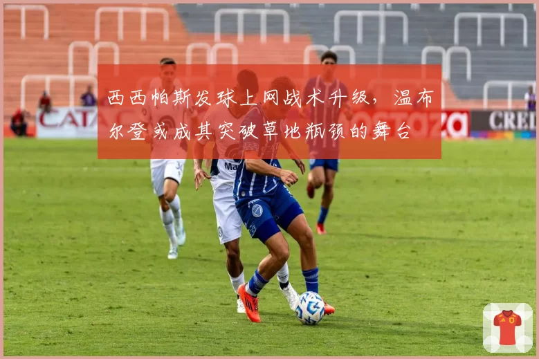 西西帕斯发球上网战术升级，温布尔登或成其突破草地瓶颈的舞台