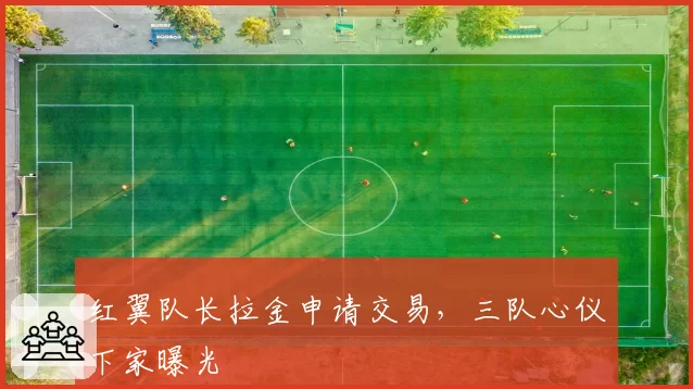 红翼队长拉金申请交易,三队心仪下家曝光