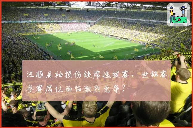 汪顺肩袖损伤缺席选拔赛，世锦赛参赛席位面临激烈竞争？