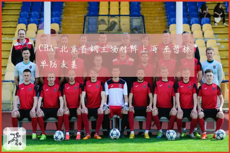 CBA-北京首钢主场对阵上海 王哲林单防麦基