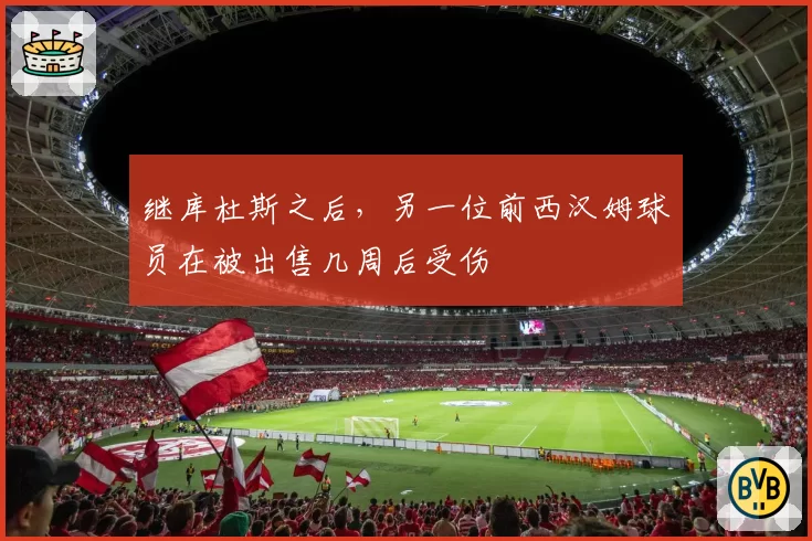 继库杜斯之后，另一位前西汉姆球员在被出售几周后受伤