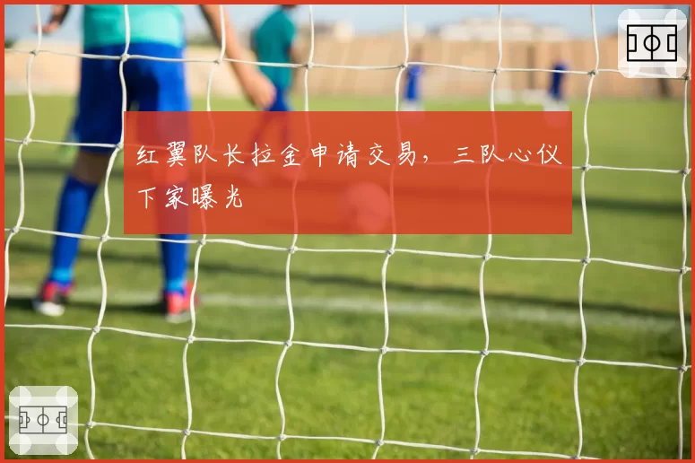 红翼队长拉金申请交易,三队心仪下家曝光
